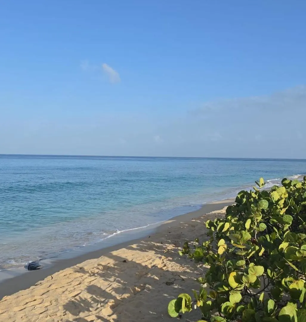 Seashades 2Br 1 Full And 1 Half Bathrooms Condo With Pool Close To Beach Sleeps 4 Крайст-Черч