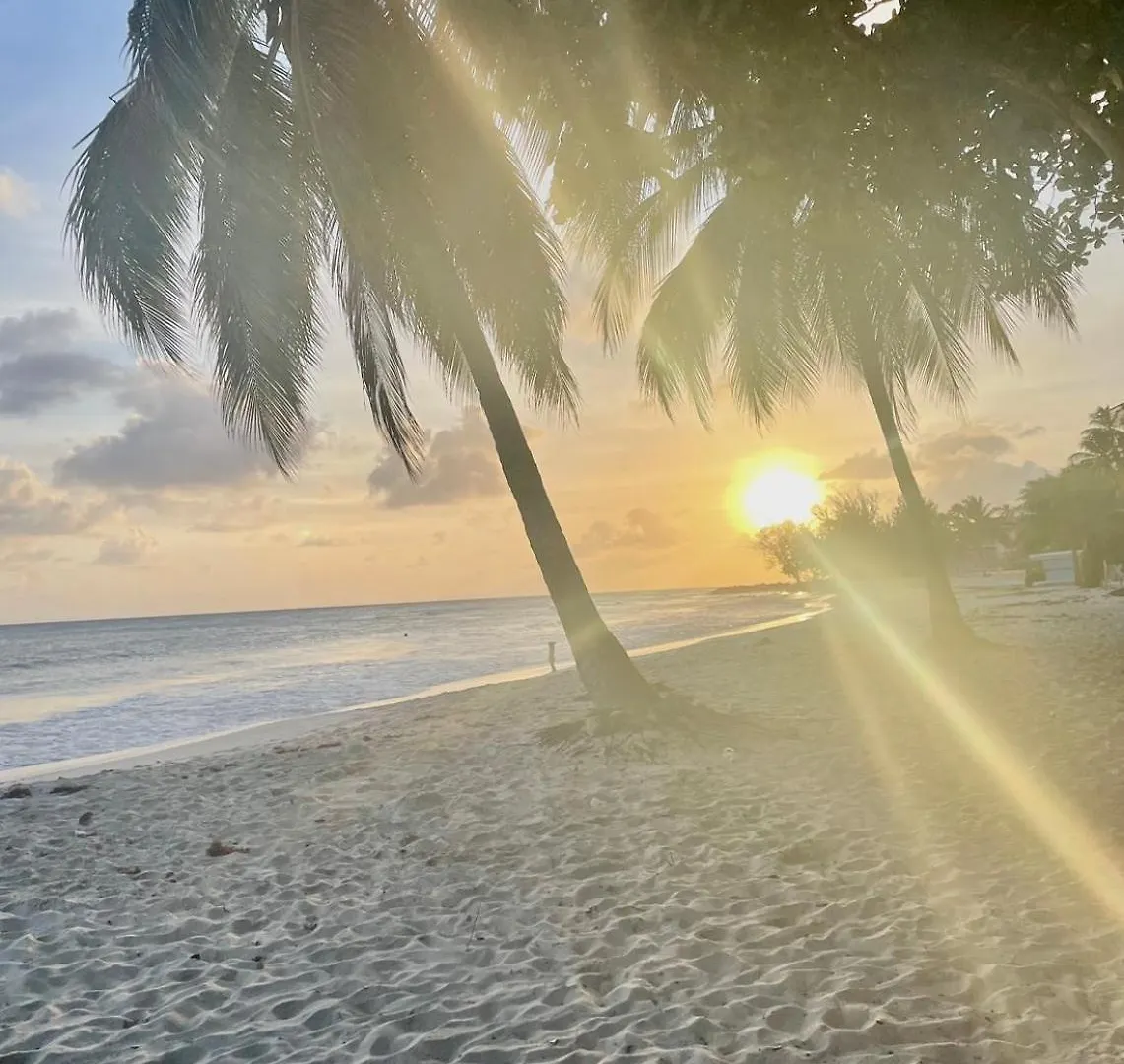 Apartmán Seashades 2Br 1 Full And 1 Half Bathrooms Condo With Pool Close To Beach Sleeps 4 Christ Church